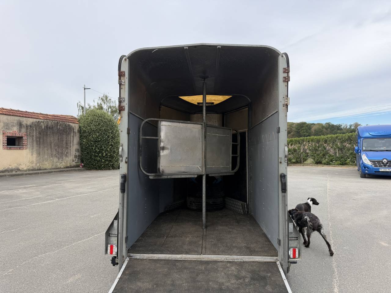 Van caballos Ifor Williams HB505R 2 Caballos 2000 De segunda mano