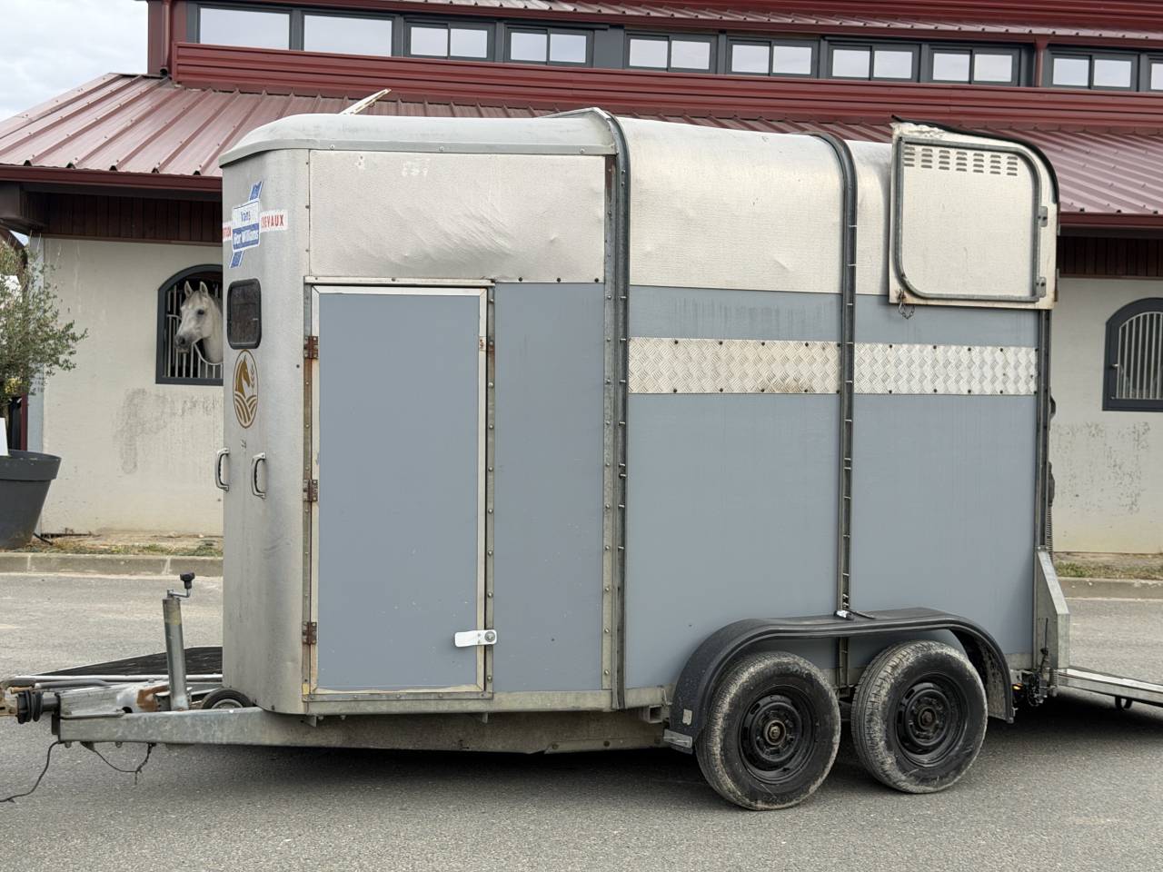 Van caballos Ifor Williams HB505R 2 Caballos 2000 De segunda mano