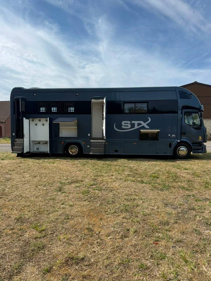 Cami&oacute;n para caballos STX volvo fl 2016 Nuevo