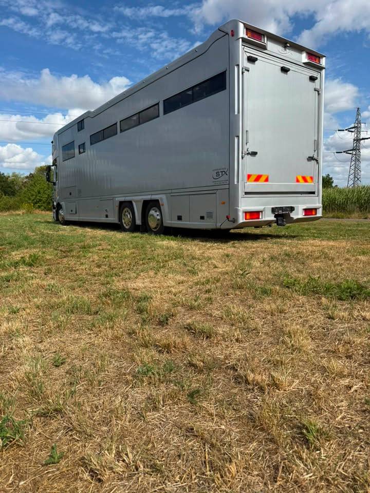 Cami&oacute;n para caballos STX iveco stalis 2011 De segunda mano