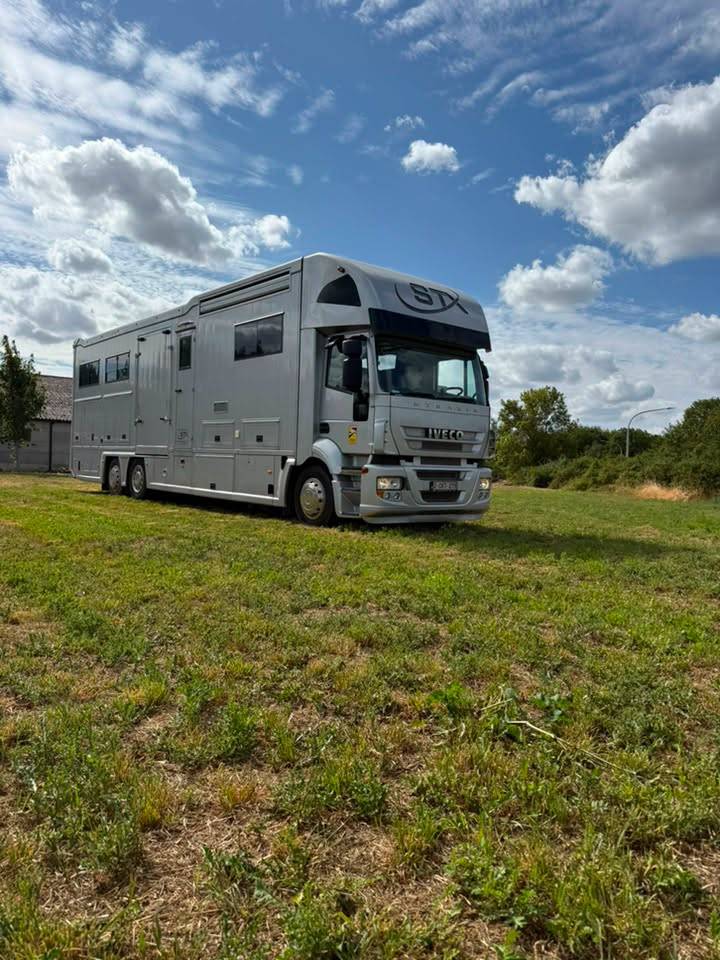 Cami&oacute;n para caballos STX iveco stalis 2011 De segunda mano