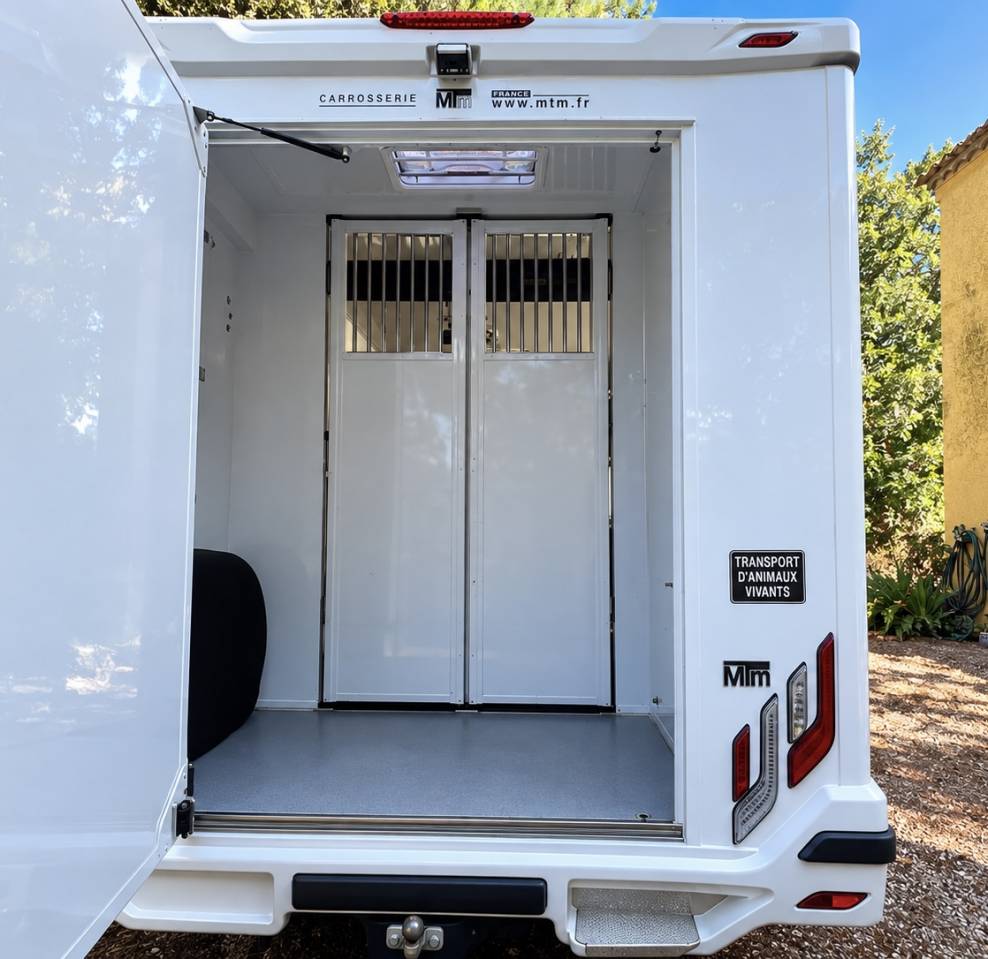 Furgoneta para caballos Renault Master filovan S5  2021 De segunda mano