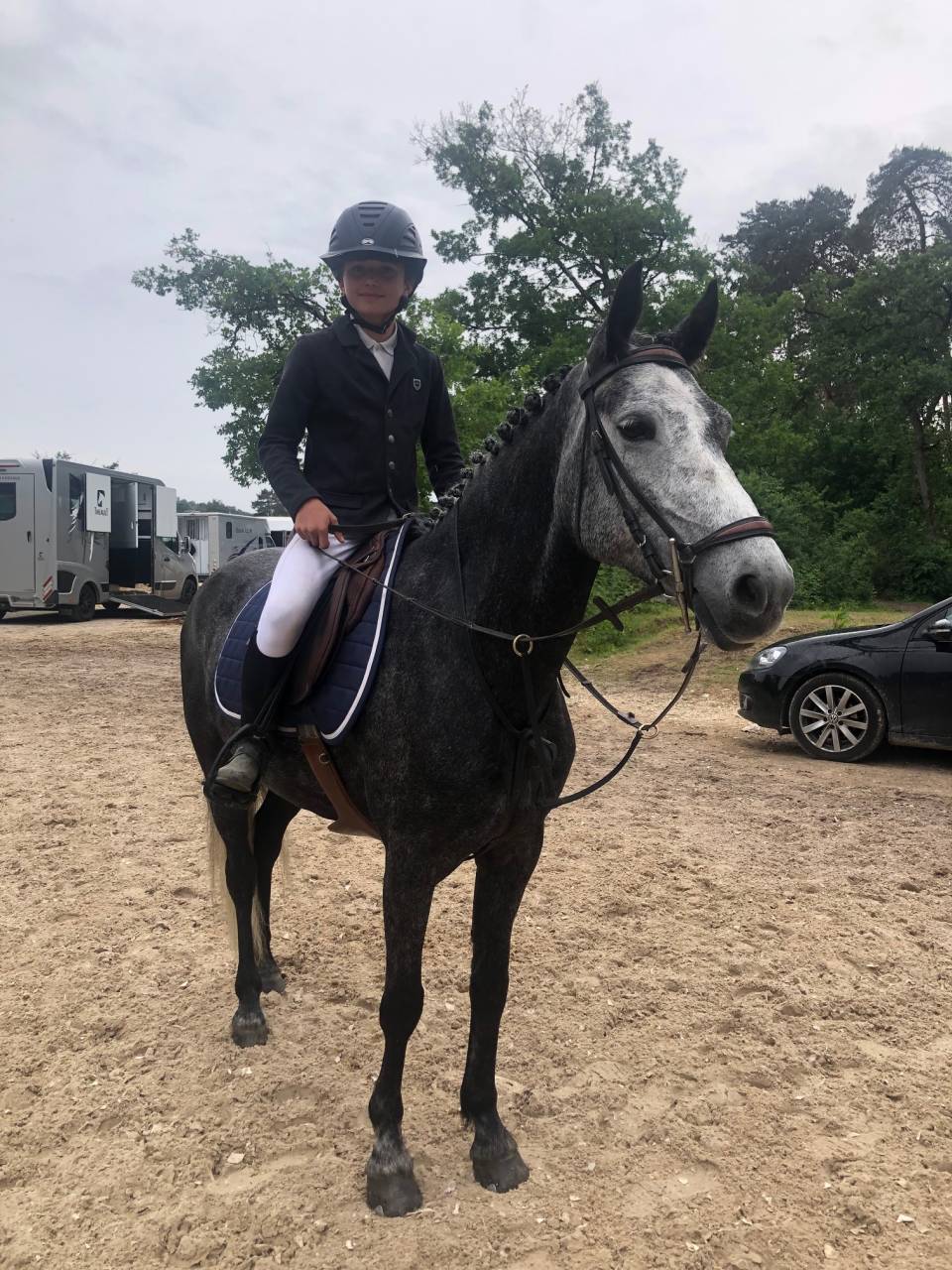 Yegua PFS Poni Fran&ccedil;&eacute;s de Silla En venta 2018 Tordo por Juke Box du Buhot, PFS