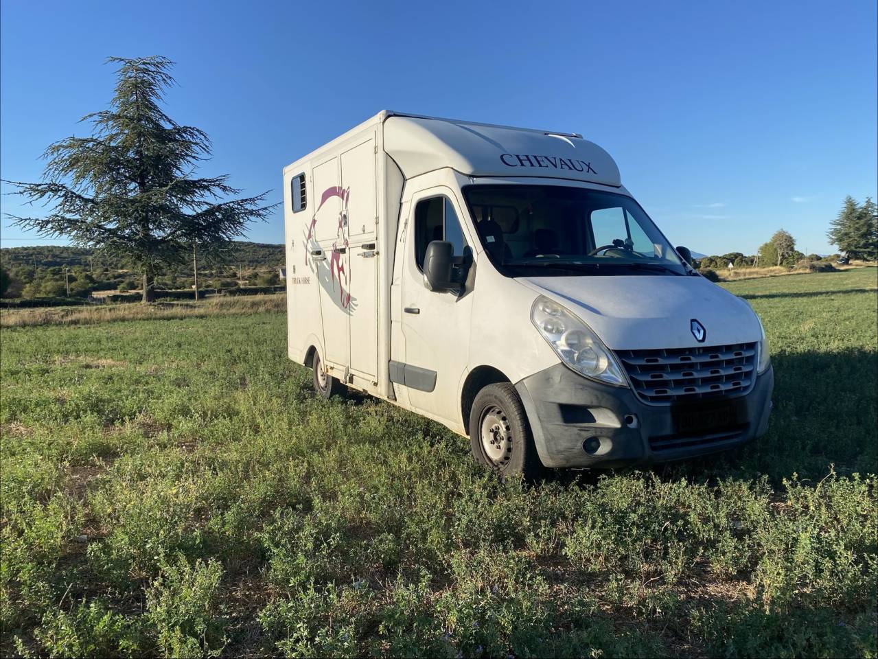 Furgoneta para caballos Renault 2.3 DCI  2010 De segunda mano