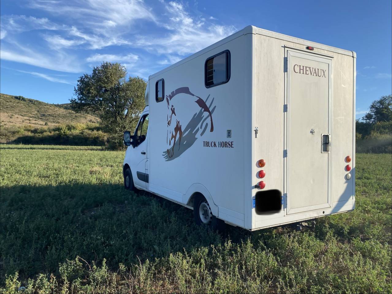 Furgoneta para caballos Renault 2.3 DCI  2010 De segunda mano