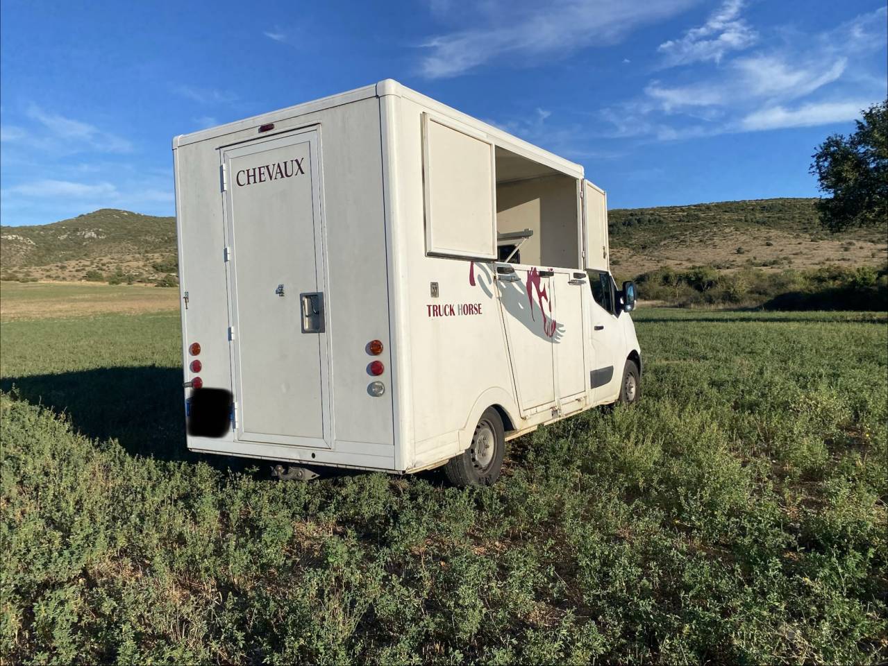 Furgoneta para caballos Renault 2.3 DCI  2010 De segunda mano