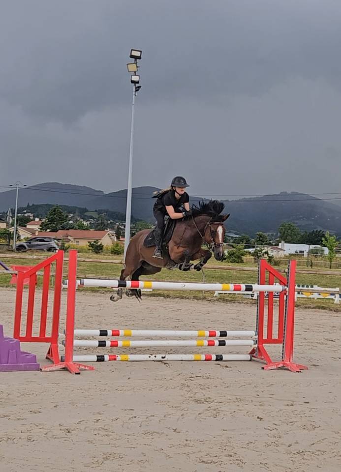 Caballo castrado PFS Poni Fran&ccedil;&eacute;s de Silla En venta 2017 Bayo por Lennicha de Florys