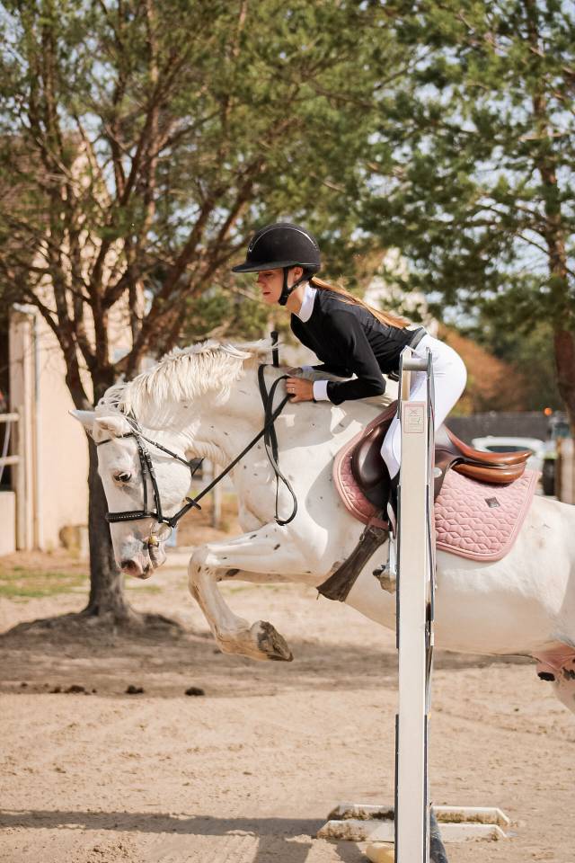 Caballo castrado Connemara En venta 2022 Appaloosa