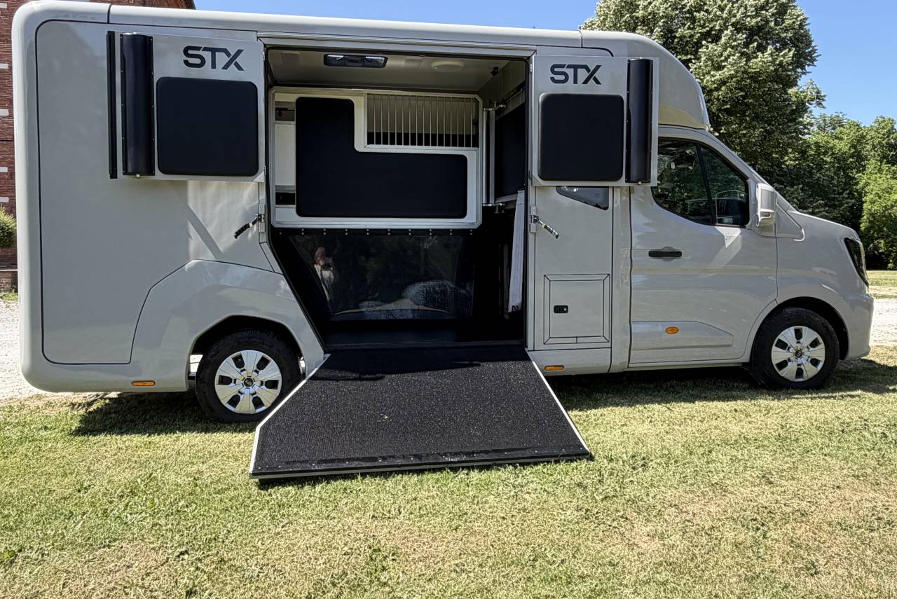 Furgoneta para caballos STX HARAS LONG 2025 De segunda mano