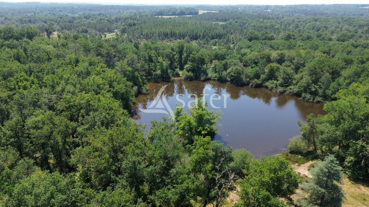 Explotaci&oacute;n forestal En venta Dordo&ntilde;a