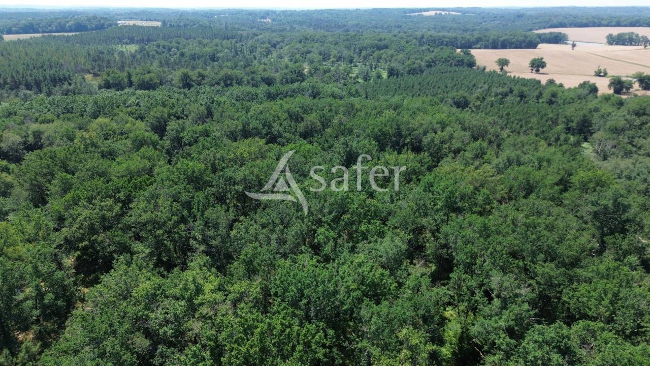 Explotaci&oacute;n forestal En venta Dordo&ntilde;a