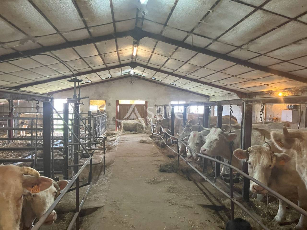 Explotaci&oacute;n agr&iacute;cola En venta Saona y Loira