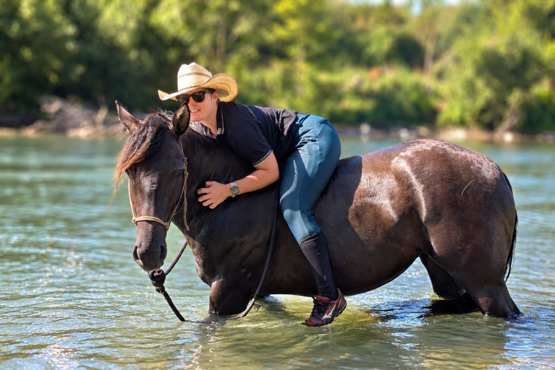 Yegua Quarter Horse En venta 2020 Grullo por JAZ GC DE PLATA