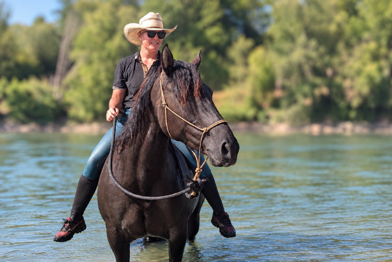 Yegua Quarter Horse En venta 2020 Grullo por JAZ GC DE PLATA
