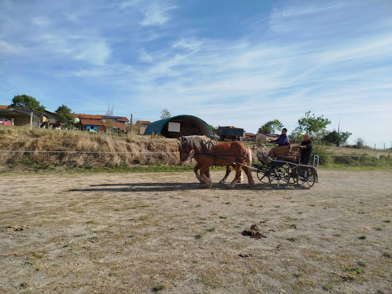 Yegua Tiro Comtois En venta 2022 Alaz&aacute;n