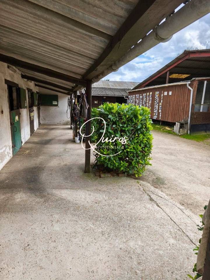 Propiedad ecuestre En venta Loir y Cher