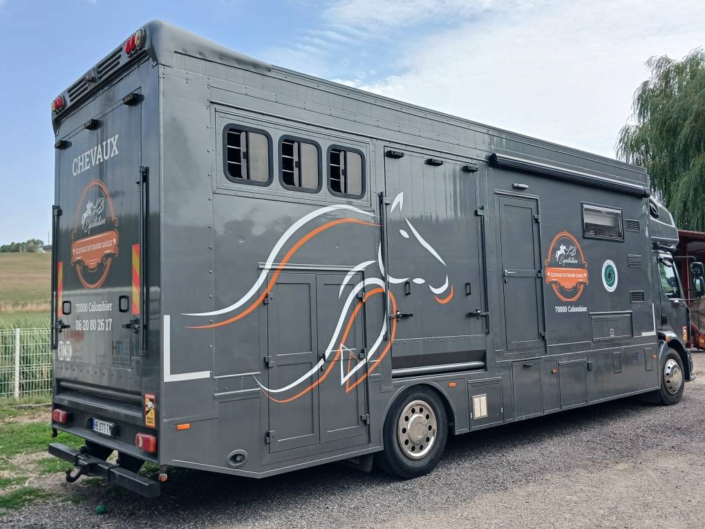 Cami&oacute;n para caballos Renault MILDIUM 280 DXI 2008 De segunda mano