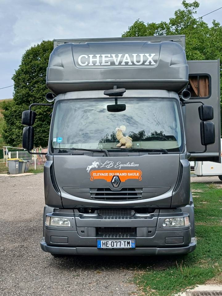 Cami&oacute;n para caballos Renault MILDIUM 280 DXI 2008 De segunda mano