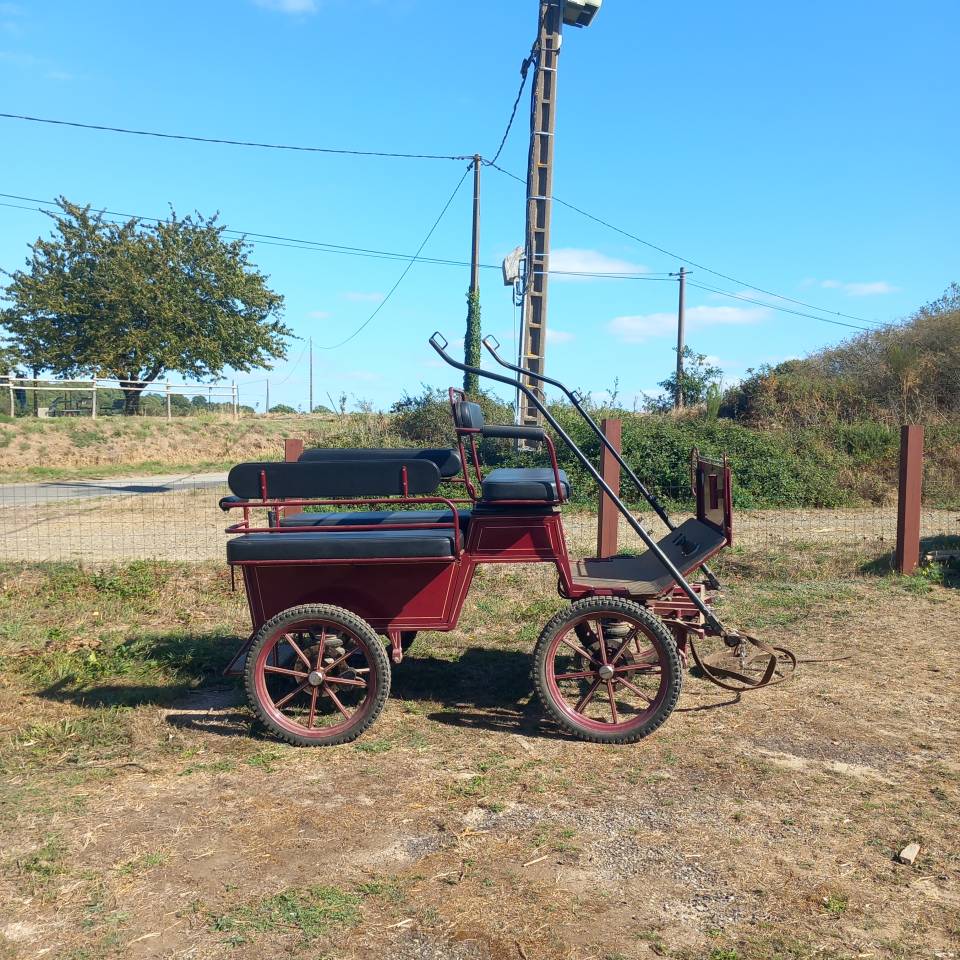 Coche enganches - Marat&oacute;n ocio - Otra marca - Equitech 