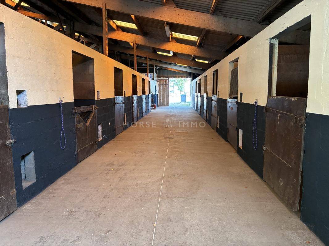 Centro ecuestre En venta Finisterre