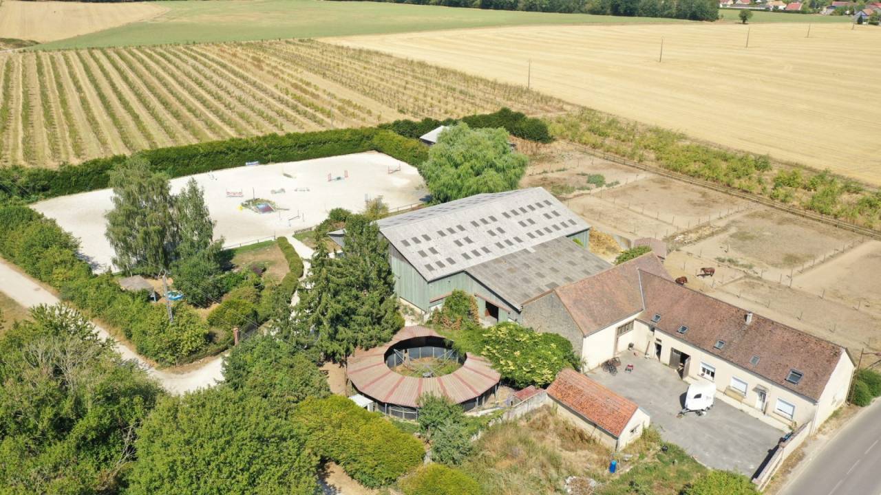 Albergue ecuestre En venta Marne