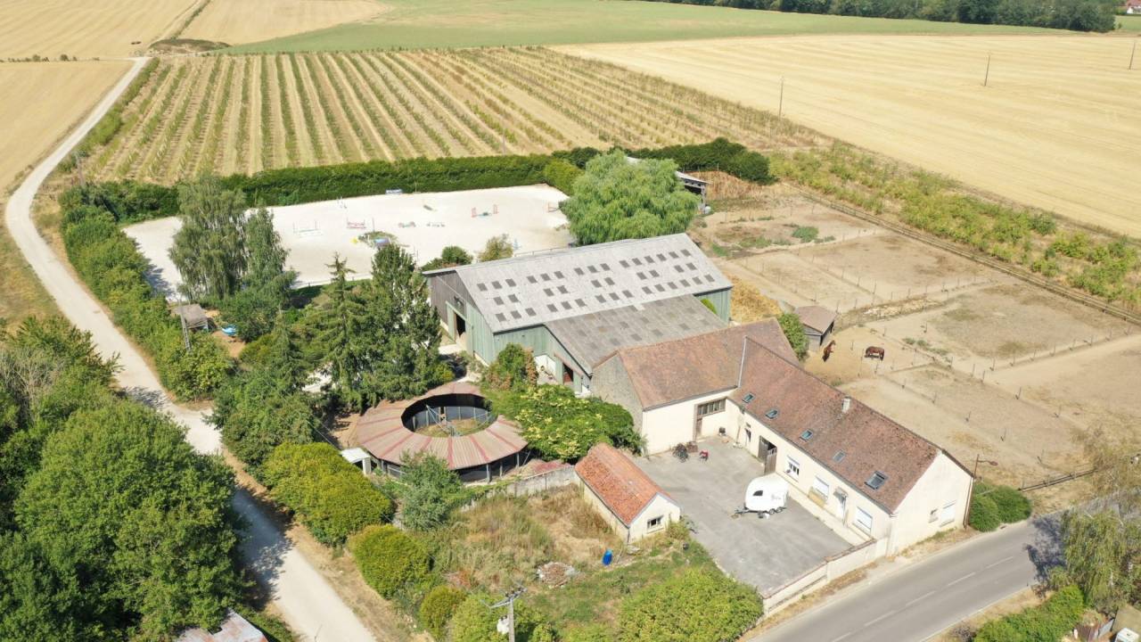 Albergue ecuestre En venta Marne