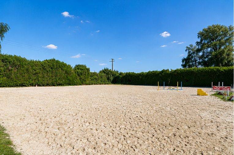 Albergue ecuestre En venta Marne
