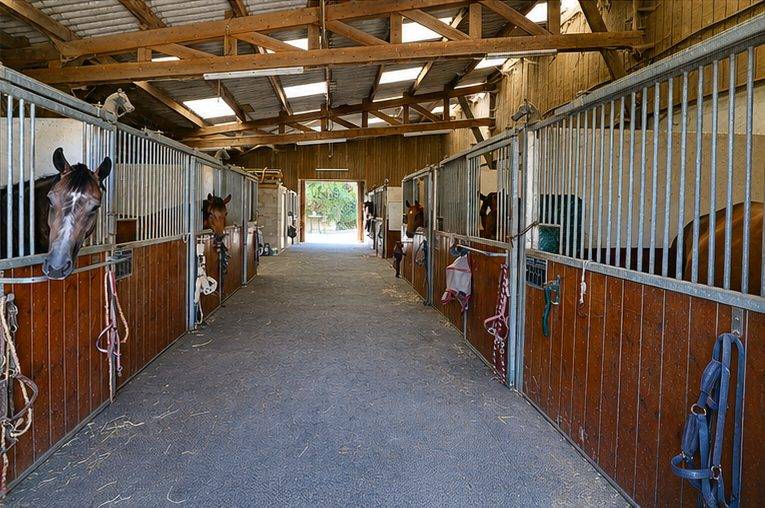 Albergue ecuestre En venta Marne