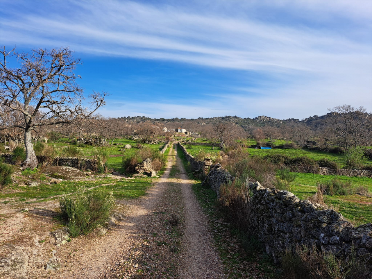 Propiedad ecuestre En venta C&aacute;ceres