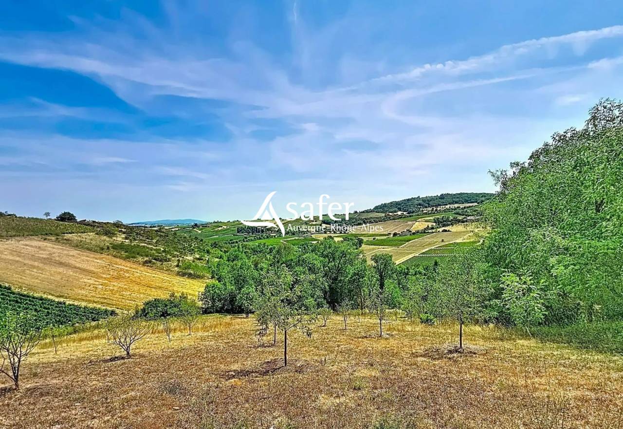 Propiedad rural En venta R&oacute;dano