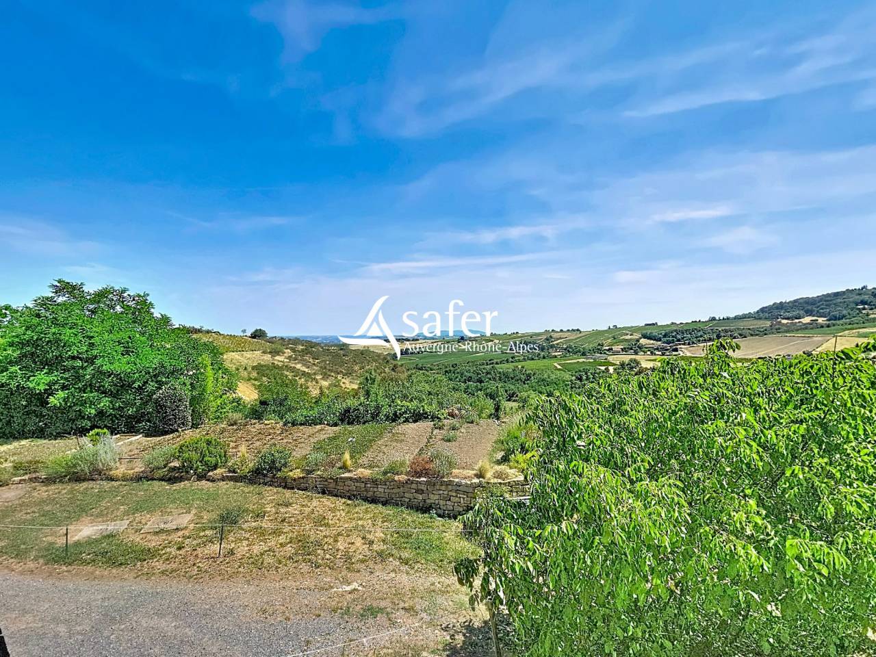 Propiedad rural En venta R&oacute;dano