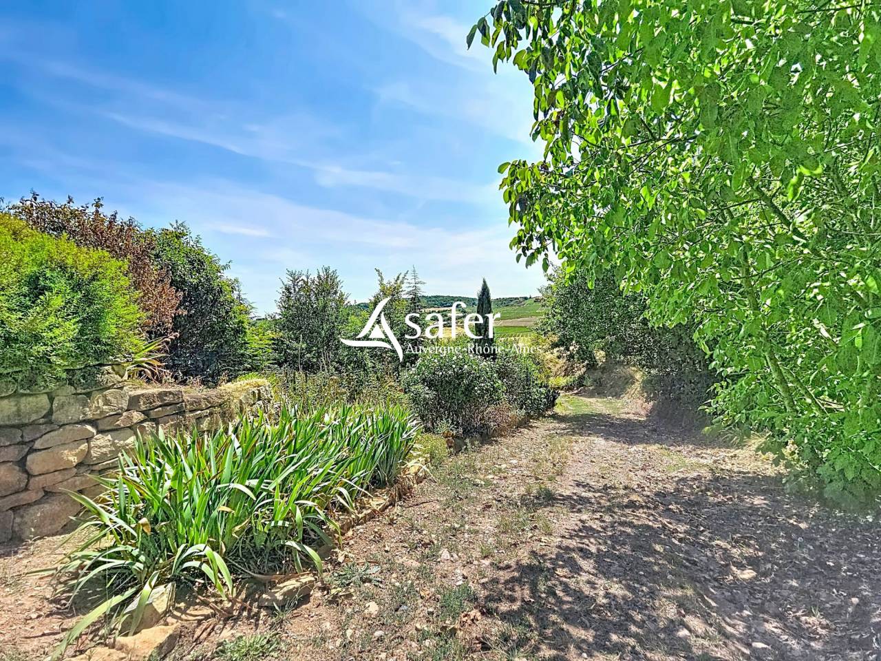 Propiedad rural En venta R&oacute;dano