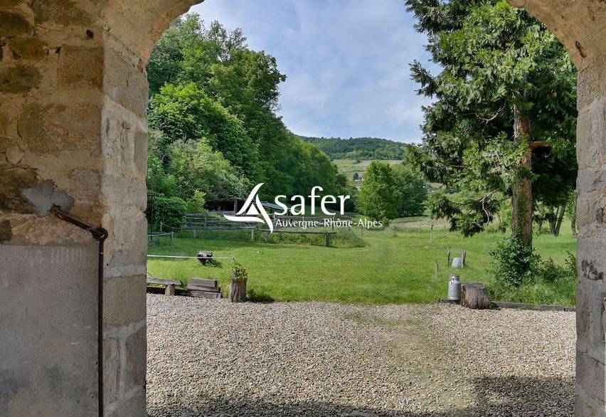 Propiedad rural En venta R&oacute;dano