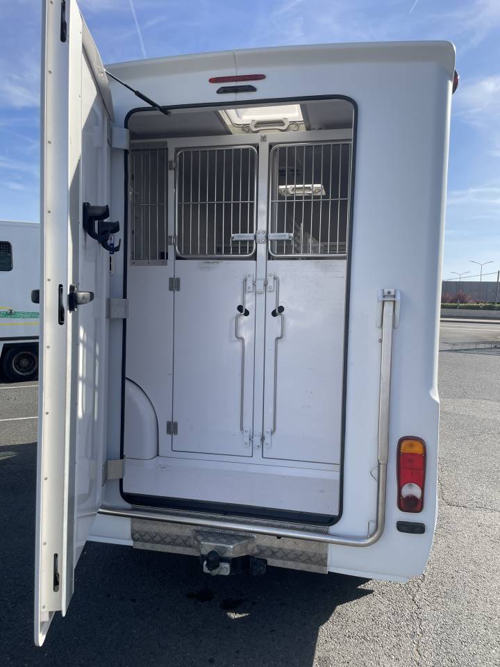 Furgoneta para caballos Barbot master 2021 De segunda mano