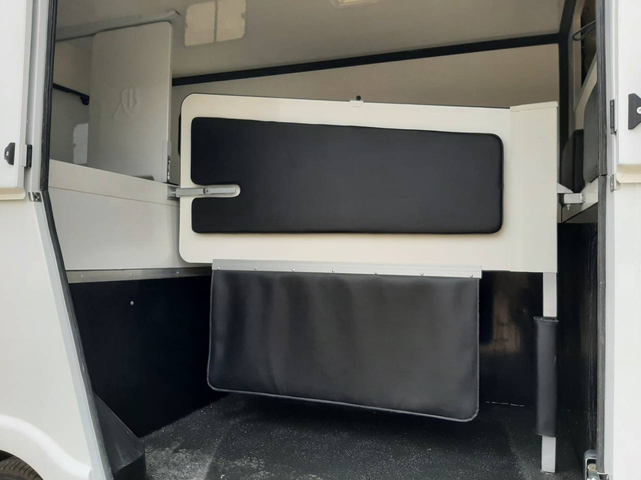 Furgoneta para caballos Renault Master 2020 De segunda mano