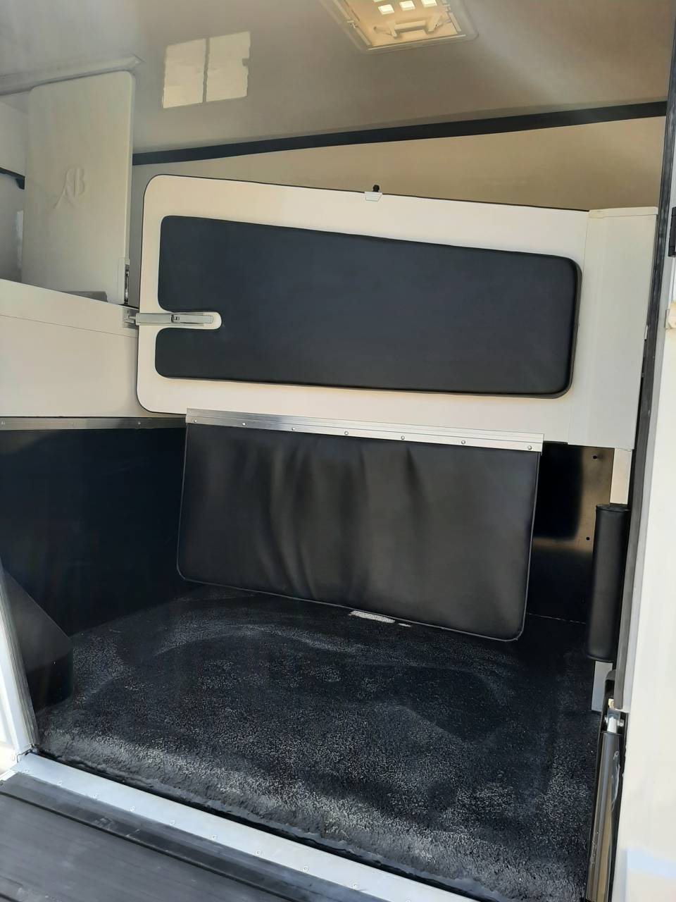 Furgoneta para caballos Renault Master 2020 De segunda mano