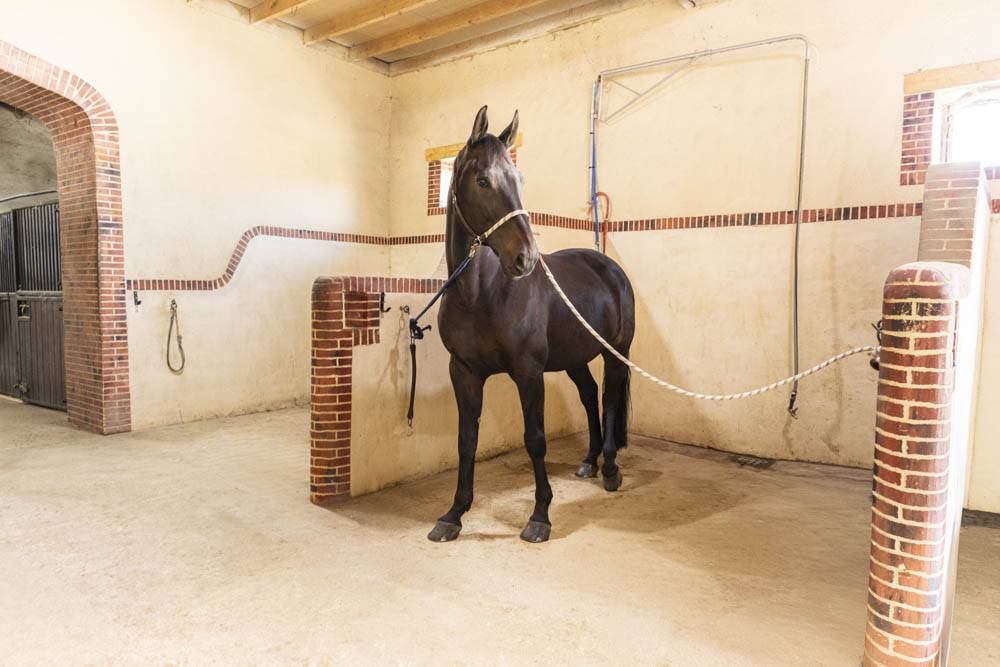 Propiedad ecuestre En venta Sena y Marne