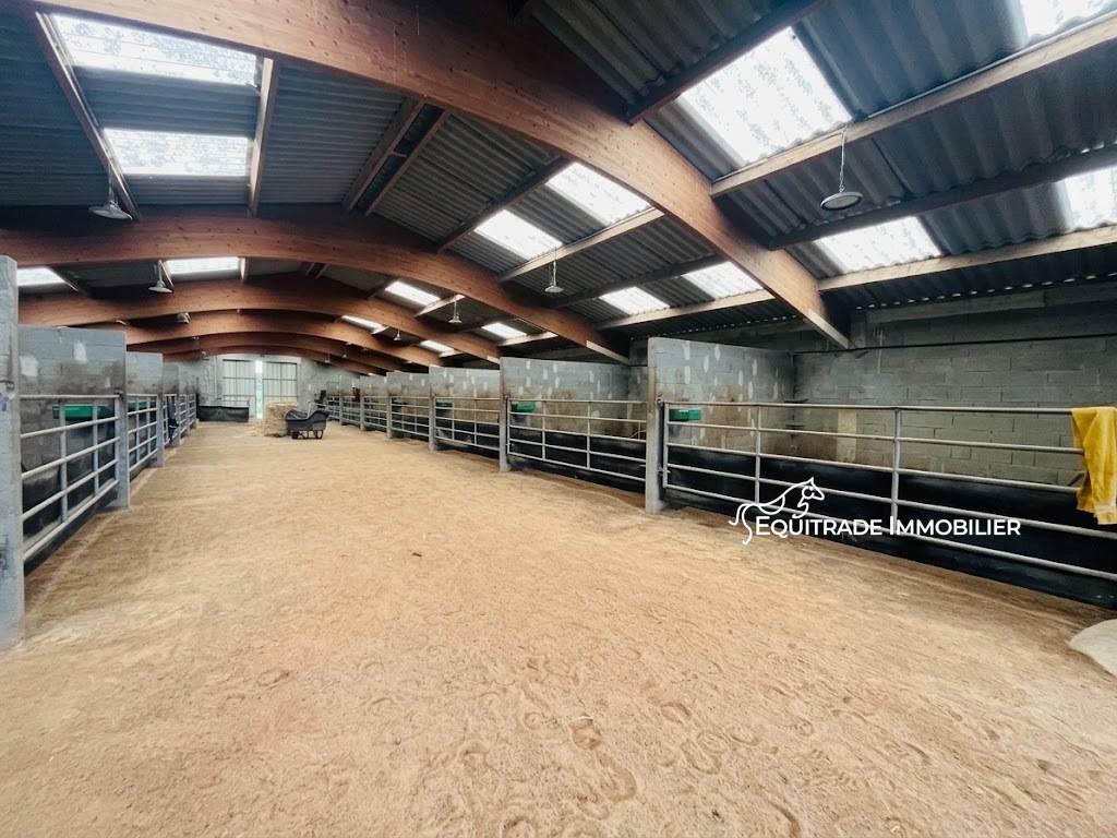 Propiedad ecuestre En venta Mancha