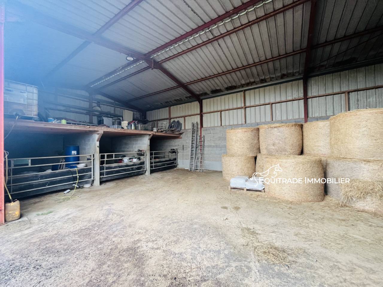 Propiedad ecuestre En venta Mancha