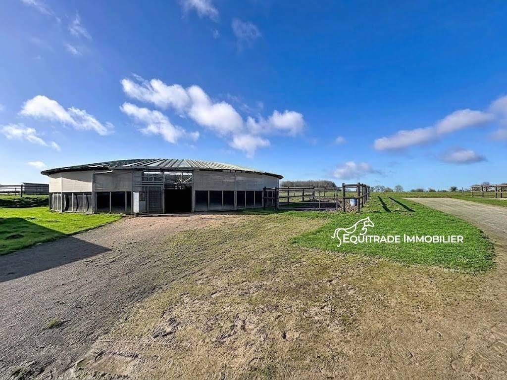 Propiedad ecuestre En venta Mancha