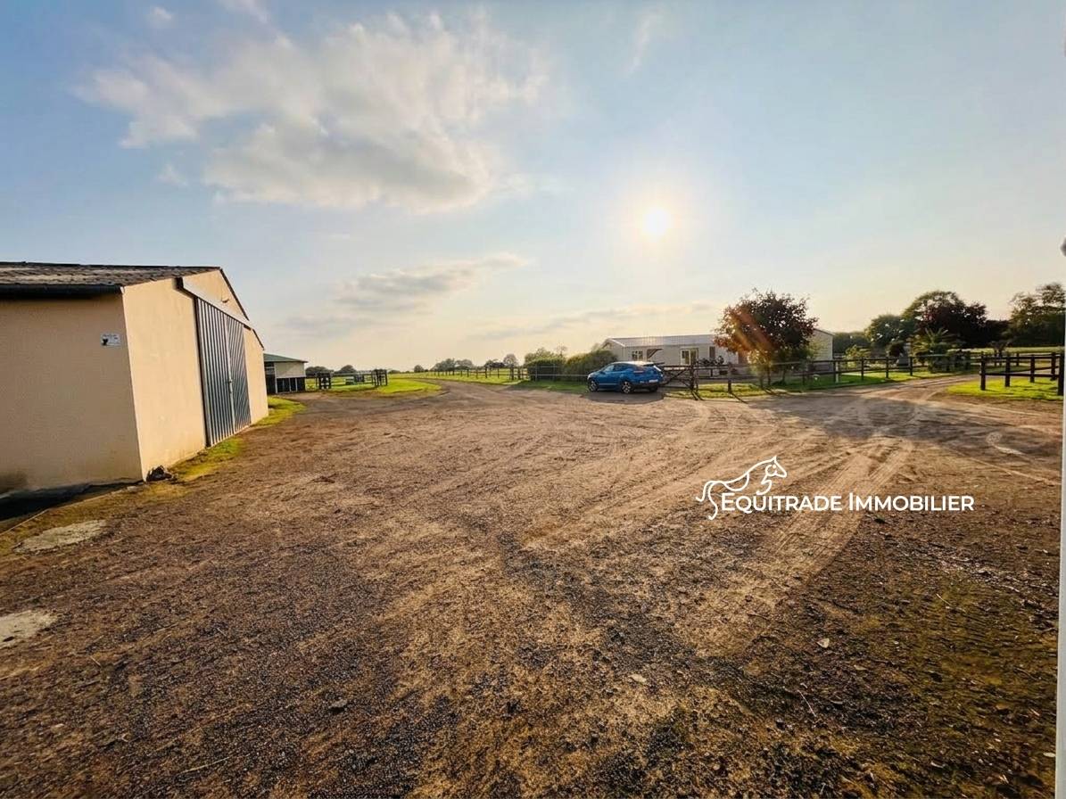 Propiedad ecuestre En venta Mancha