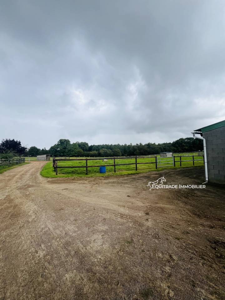 Propiedad ecuestre En venta Mancha