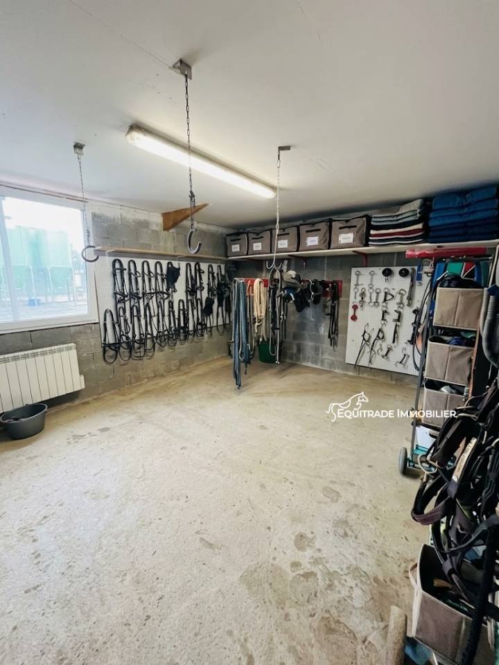 Propiedad ecuestre En venta Mancha