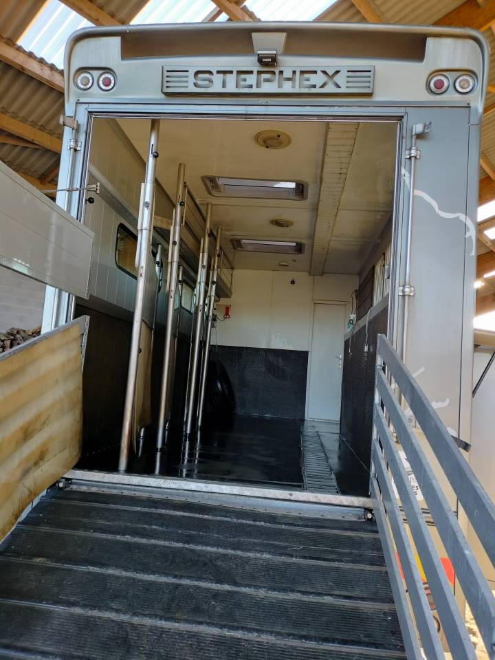 Cami&oacute;n para caballos Iveco STEPHEX 2006 De segunda mano