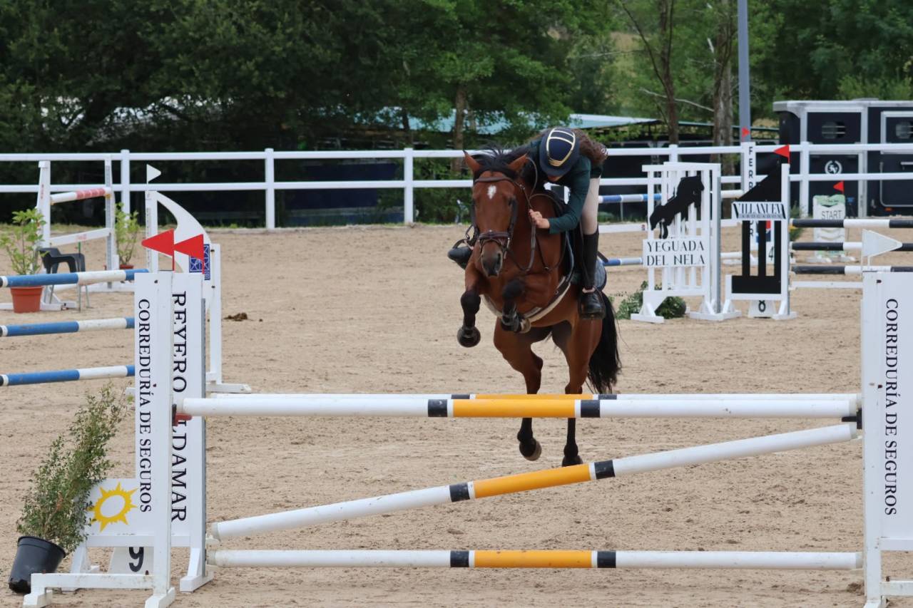 Ocasion, pony D