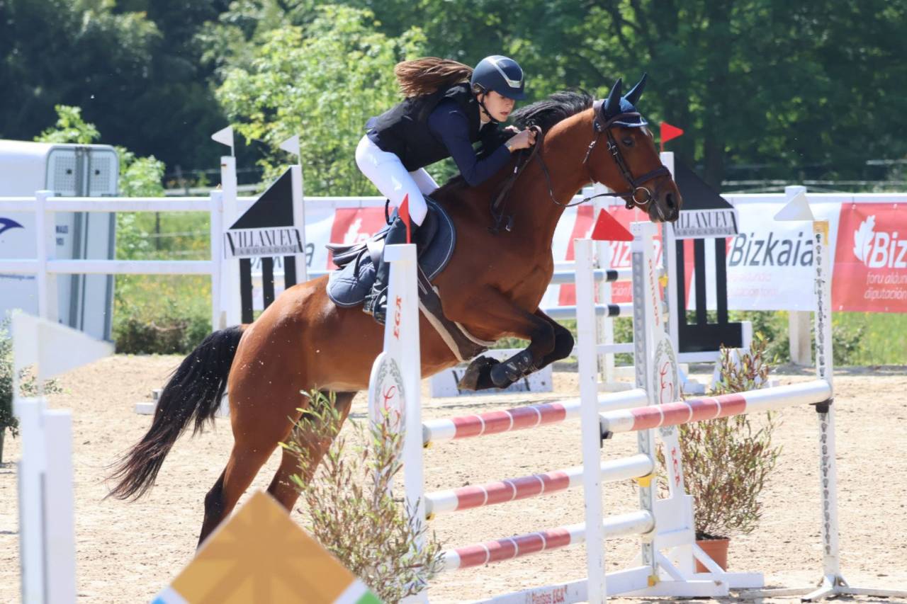 Ocasion, pony D