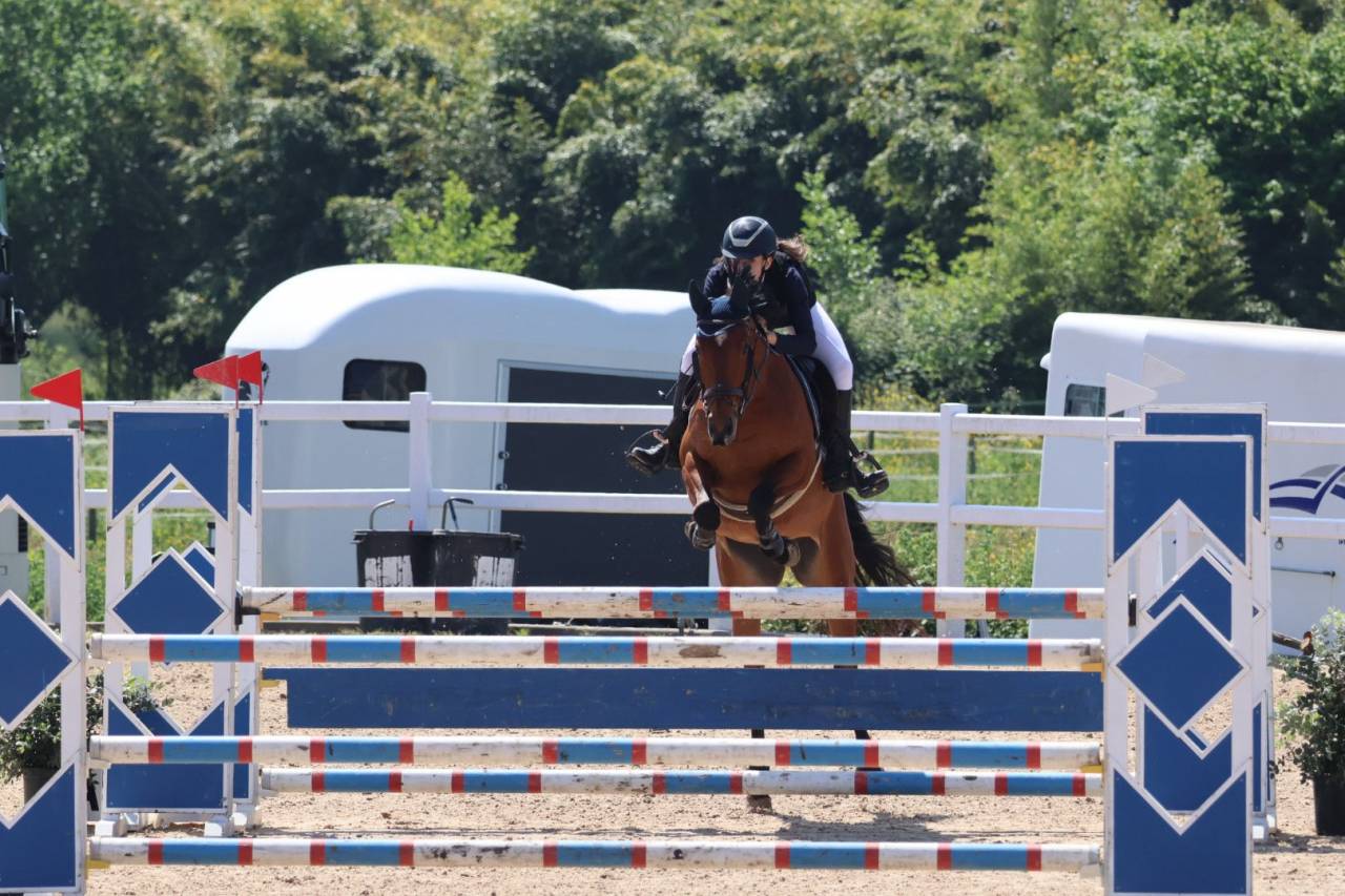 Ocasion, pony D