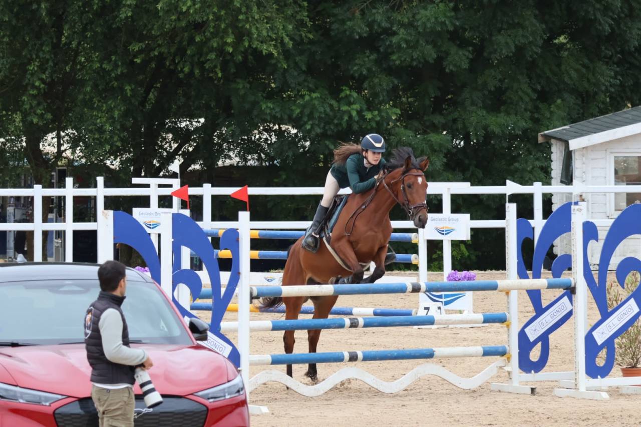 Ocasion, pony D