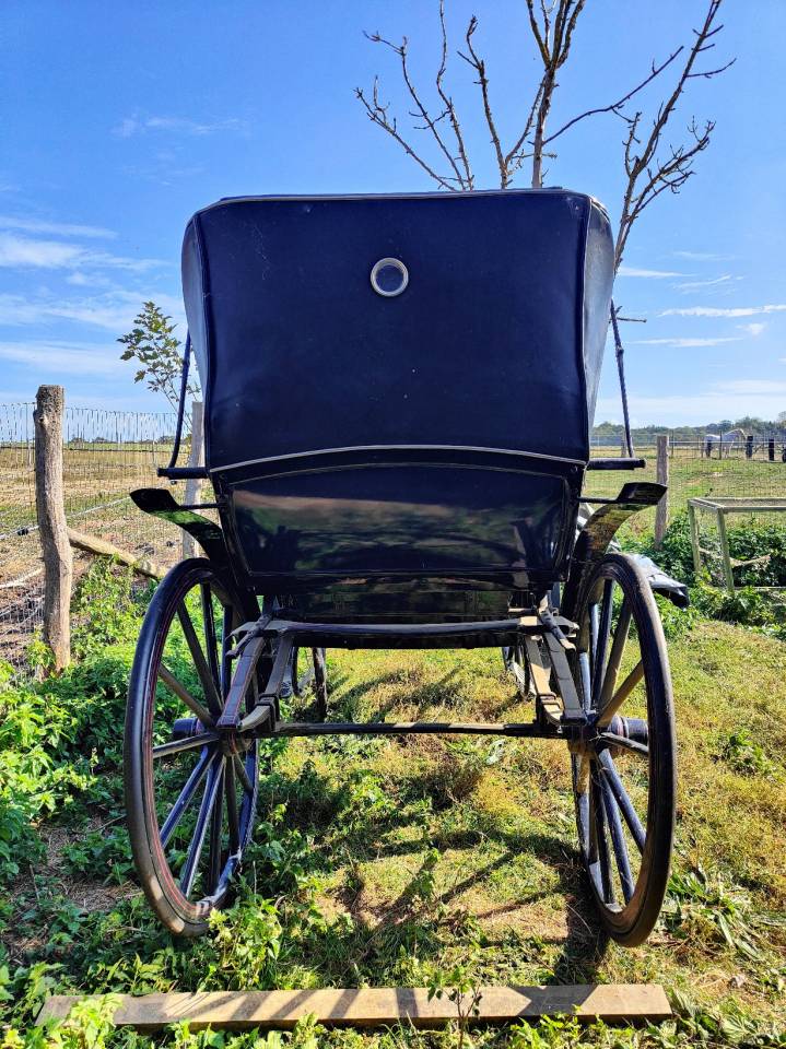 Coche enganches - Calesa Dominiak  