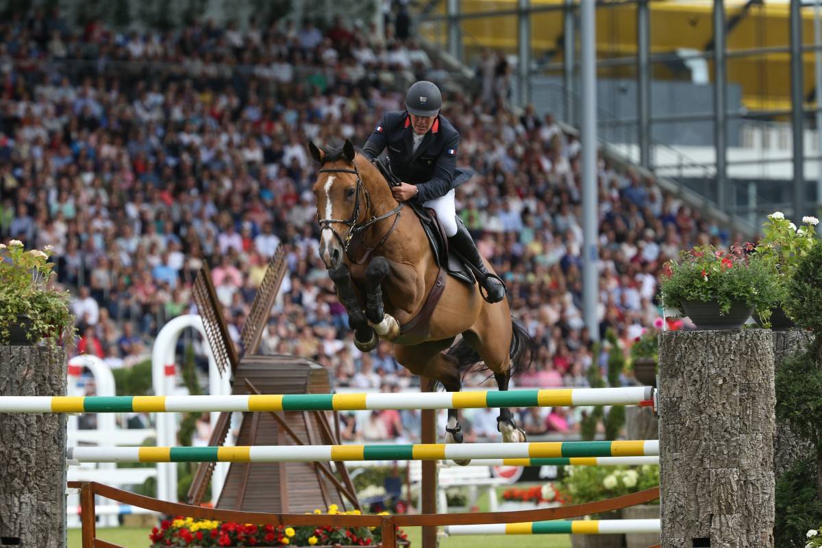 Potro Silla Franc&eacute;s En venta 2026 Alaz&aacute;n